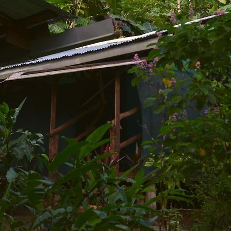 ホテル Corcovado Guide House Barrigones エクステリア 写真
