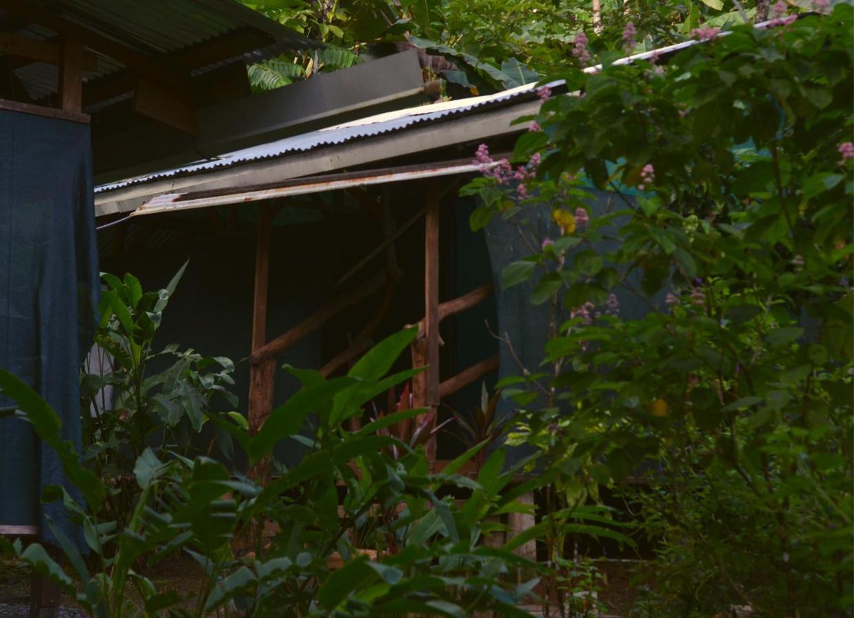 ホテル Corcovado Guide House Barrigones エクステリア 写真