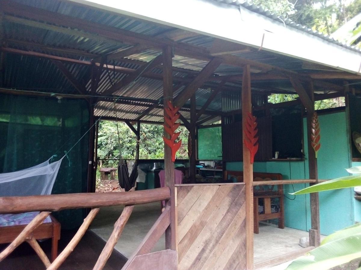 ホテル Corcovado Guide House Barrigones エクステリア 写真