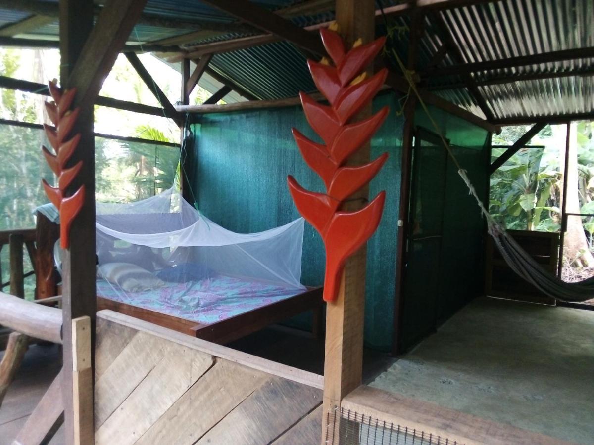 ホテル Corcovado Guide House Barrigones エクステリア 写真