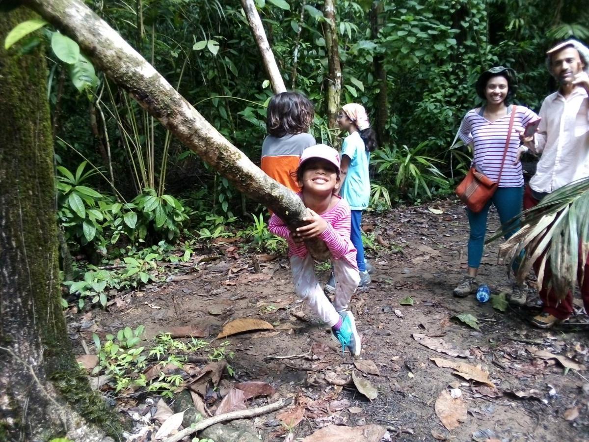 ホテル Corcovado Guide House Barrigones エクステリア 写真