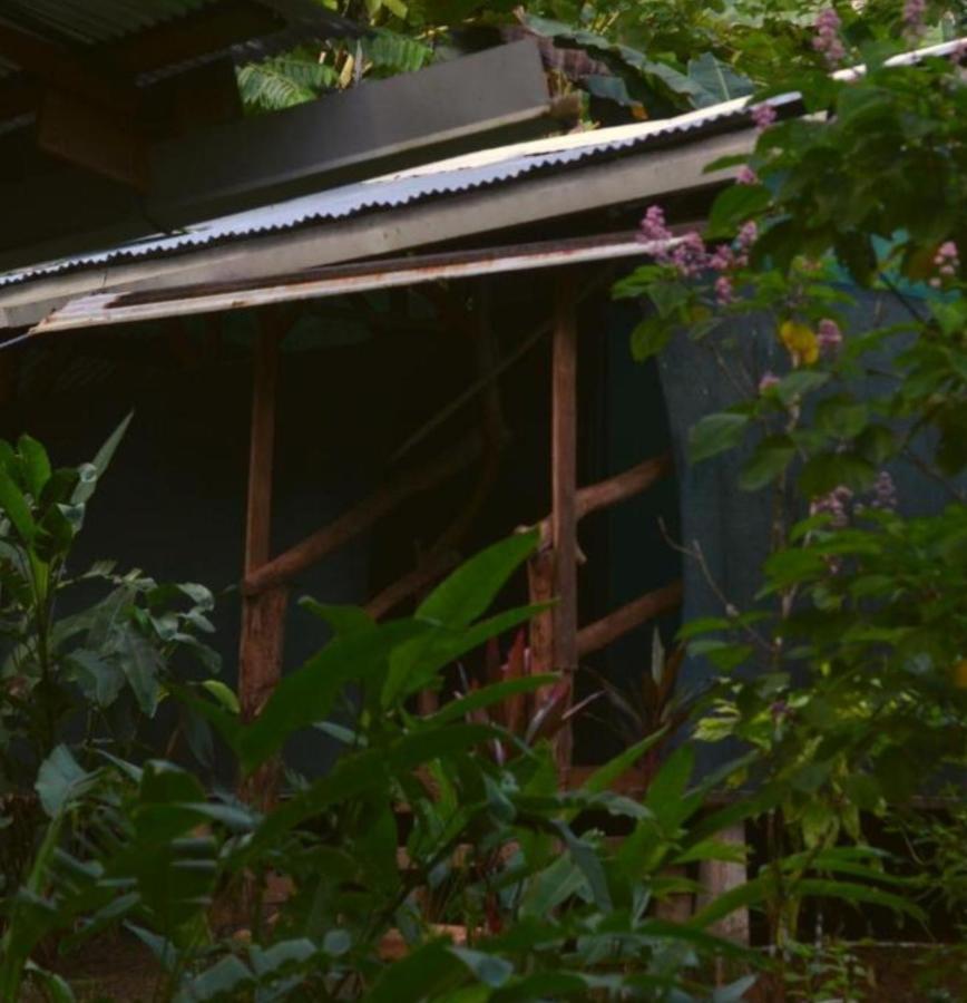 ホテル Corcovado Guide House Barrigones エクステリア 写真